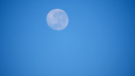 Timelapse:-Puesta-De-Luna-Llena-Contra-El-Cielo-Azul-Claro-En-El-Hemisferio-Sur-Justo-Después-Del-Amanecer