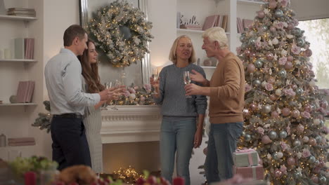 young and old women and men celebrating christmas at home