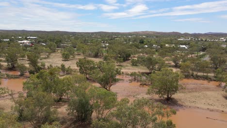 Trees-With-Green-Leaves-Growing-In-Middle-Of-Todd-River---Alice-Springs-In-Northern-Territory,-Central-Australia