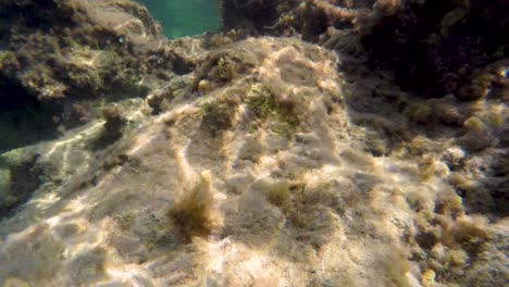 drifting underwater through a rock formation