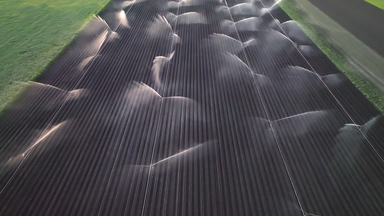 rociadores de agua regando el campo de la granja - toma aérea