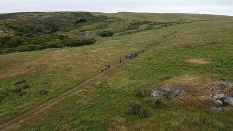 static shot, group of hikers walking in green mountains landscape, california