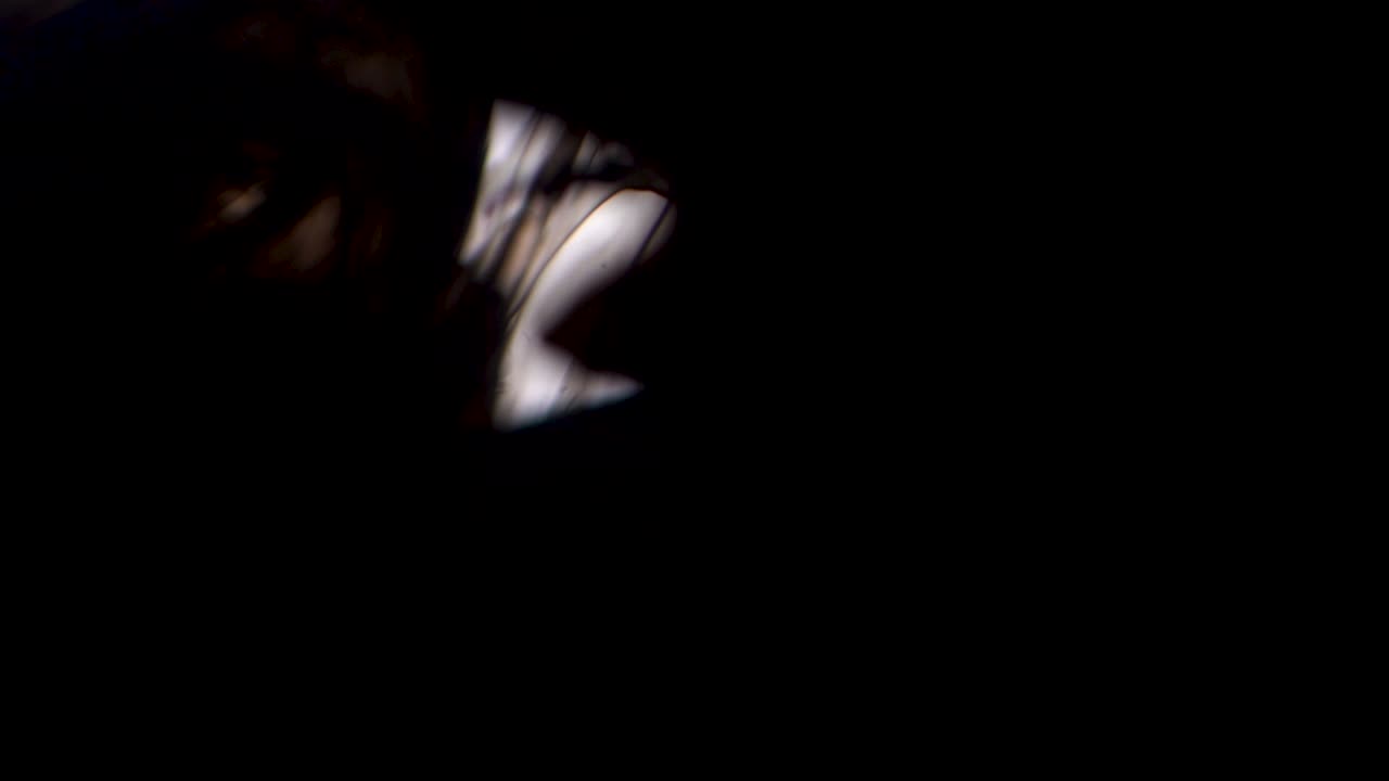 experimento abstracto con tinta y líquido