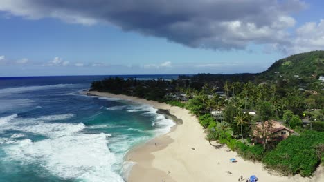 aerial view of a tropical beach with palm trees and turquoise waves