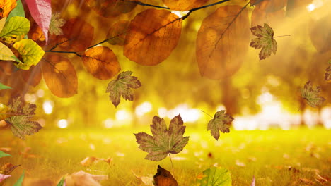 animación de hojas que caen sobre el paisaje de otoño