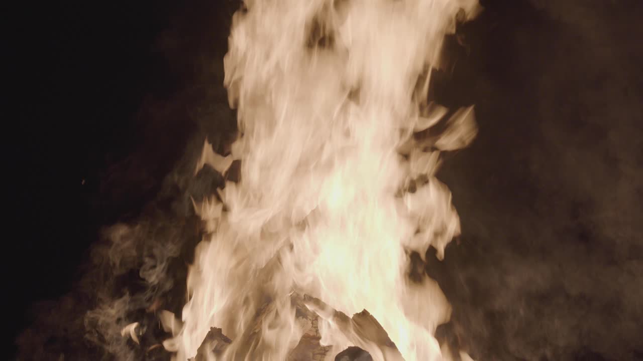 어두운 밤에 불꽃이 박이는 나무