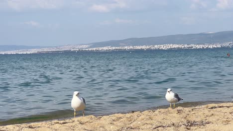 perea beach close to thessaloniki in 4k with aegean sea in the background