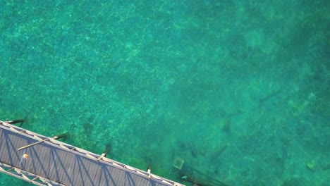 aerial flight over crystal clear turquoise ocean and bridge in mabul, malaysia