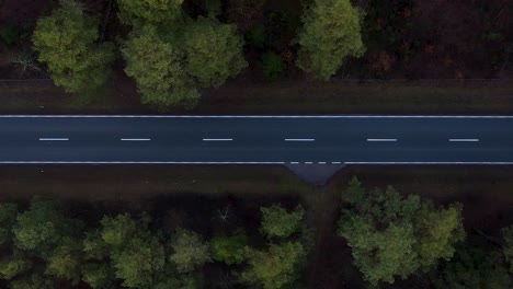 Aerial-vertical-trucking-shot-over-the-asphalt-road-in-the-dark-forest---horror,-dark-scenery-concept