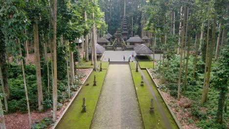 jungle path leading toward majestic temple of sangeh, aerial drone view