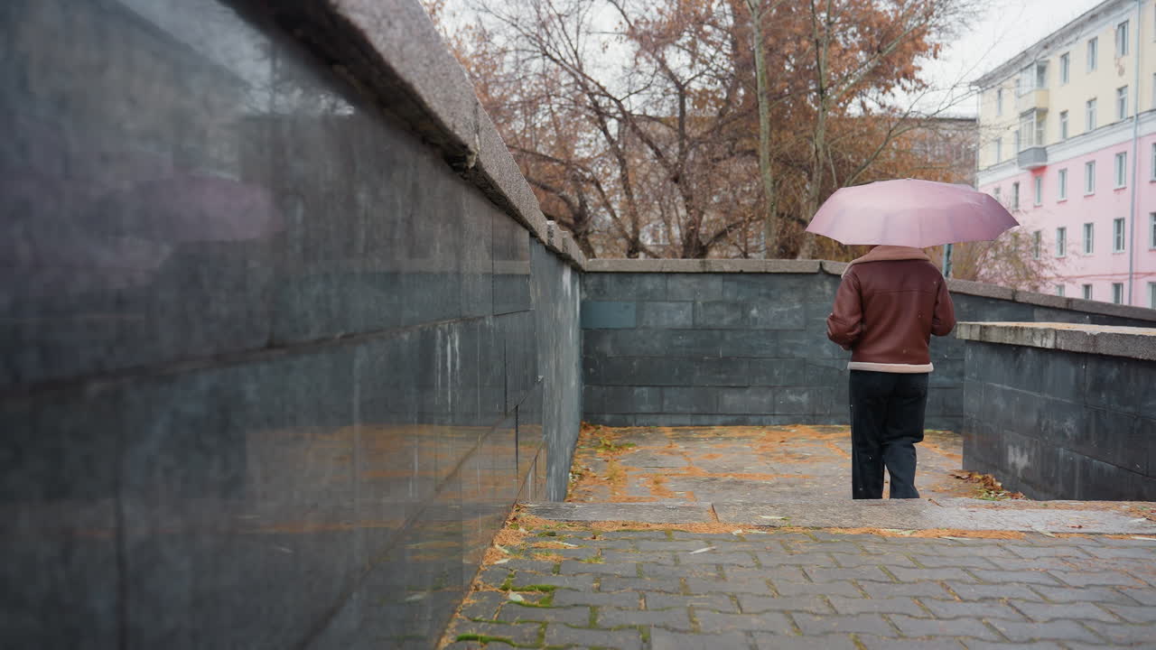 Back shot of female walking in light snowfall, holding umbrella, wearing knit cap, brown shearling jacket, black trousers, one hand in pocket, colorful autumn leaves scattered on ground
