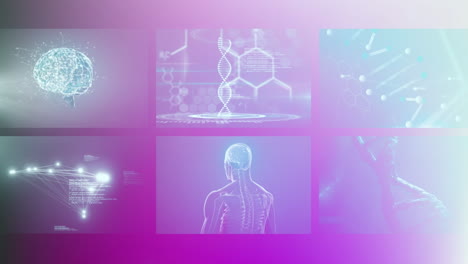 animation of scientific and biological data processing on screens on pink background