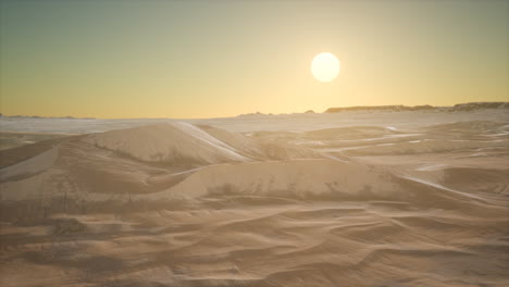 red sand desert dunes at sunset