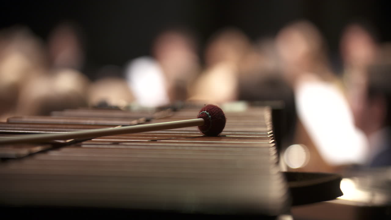 콘서트 중 덜시머 악기