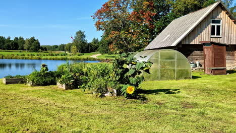 establishing country house location with a sunny lake, garden with sunflowers