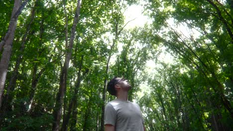 Athletic-caucasian-man-looks-up-staring-and-admiring-natural-arching-cover-of-tropical-jungle