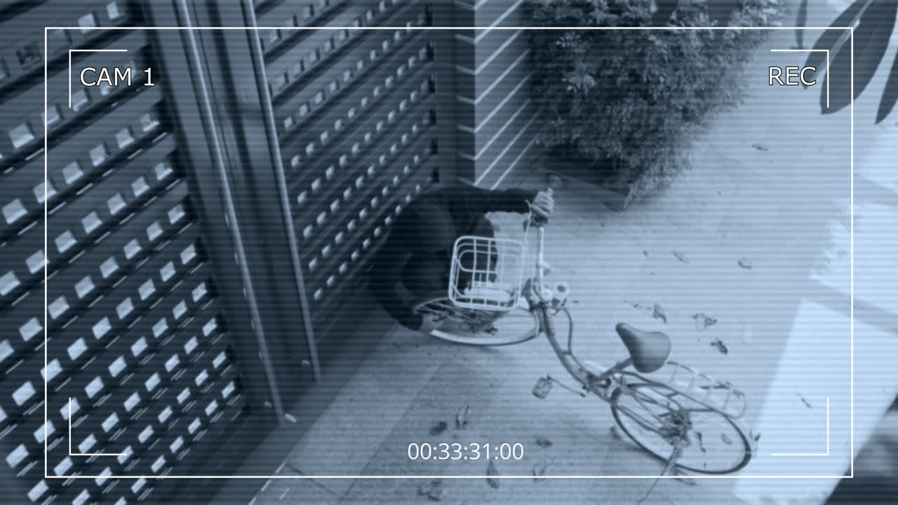 Thief Stealing Bicycle near Home Gate Outdoors CCTV