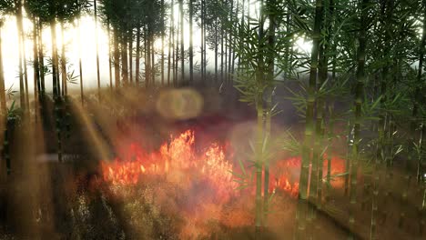 wind blowing on a flaming bamboo trees during a forest fire