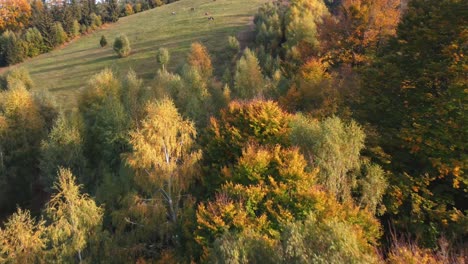 Bunter-Herbst-über-Dem-Dorf-Rucar-In-Rumänien