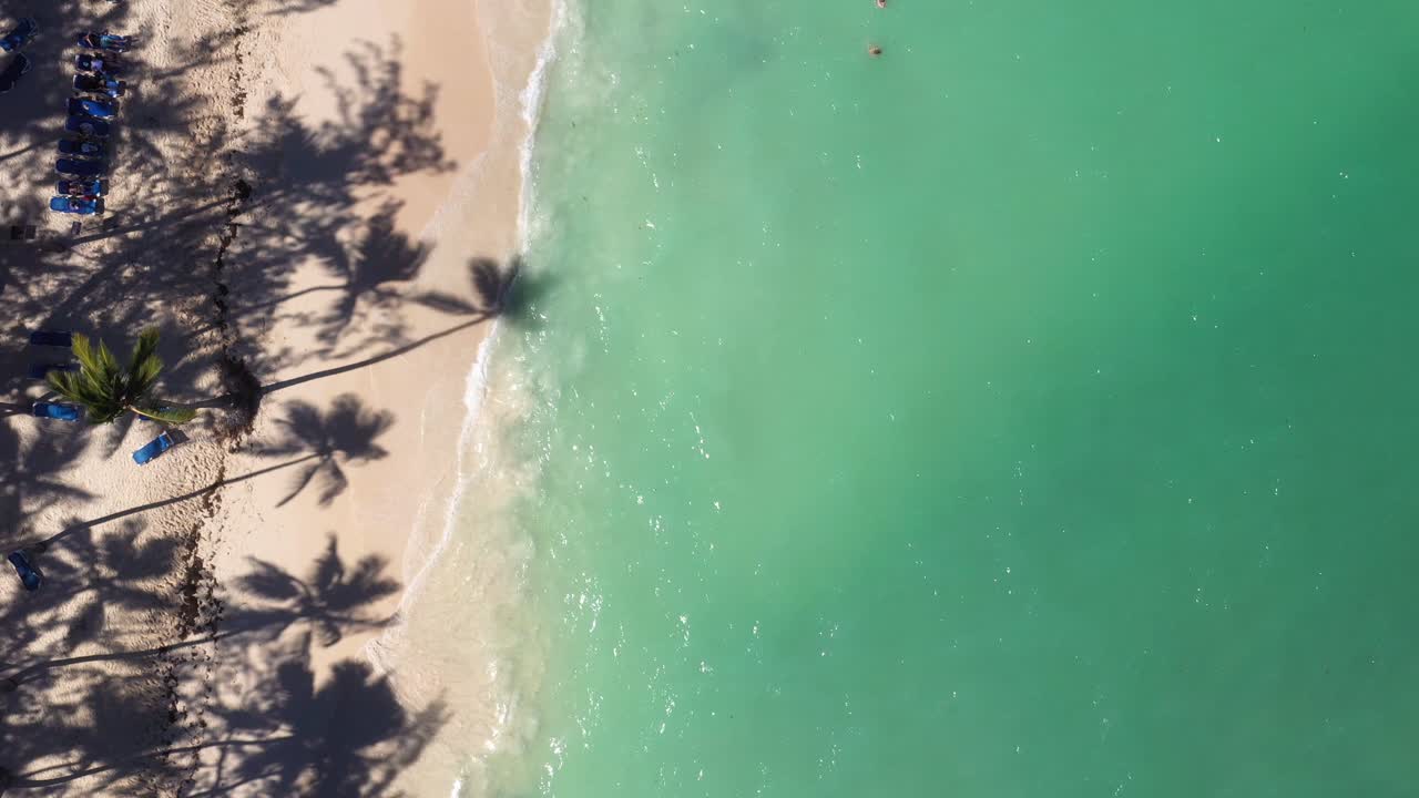 Pristine and bounty tropical shore with coconut palm trees and azure caribbean sea. Beautiful landscape. Aerial view from drone