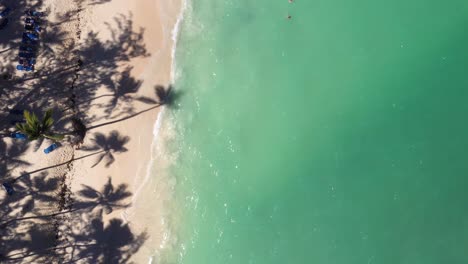 Pristine-and-bounty-tropical-shore-with-coconut-palm-trees-and-azure-caribbean-sea.-Beautiful-landscape.-Aerial-view-from-drone