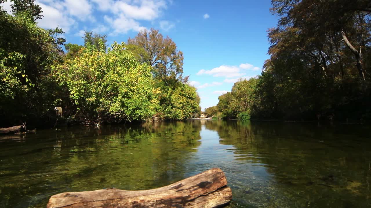 Positioned just above the water near a log that looks like a face of a turtle, water flowing through the creek where the surface is a mirror where the current isn't as strong