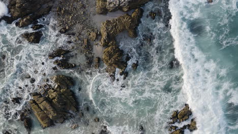 4k cinematic overhead of pacific grove marine sanctuary at monterey bay california