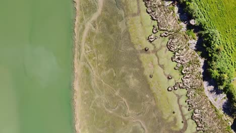 Luftdrohnenaufnahmen-Der-Afon-Dwyryd-Mündung-In-Nordwales