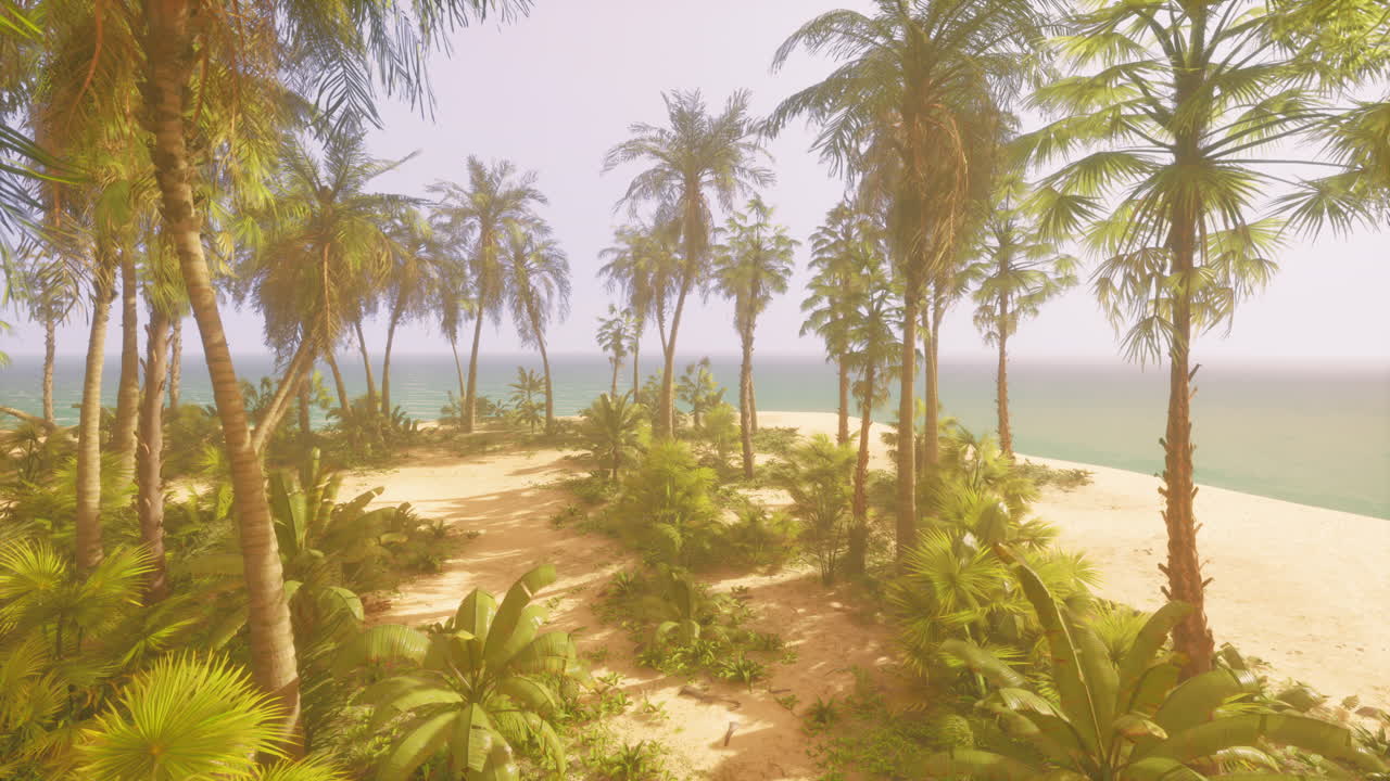 Tropical Beach with Palm Trees