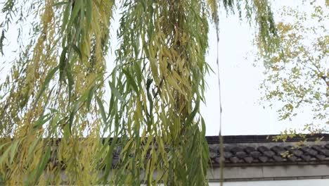 chinese garden entrance