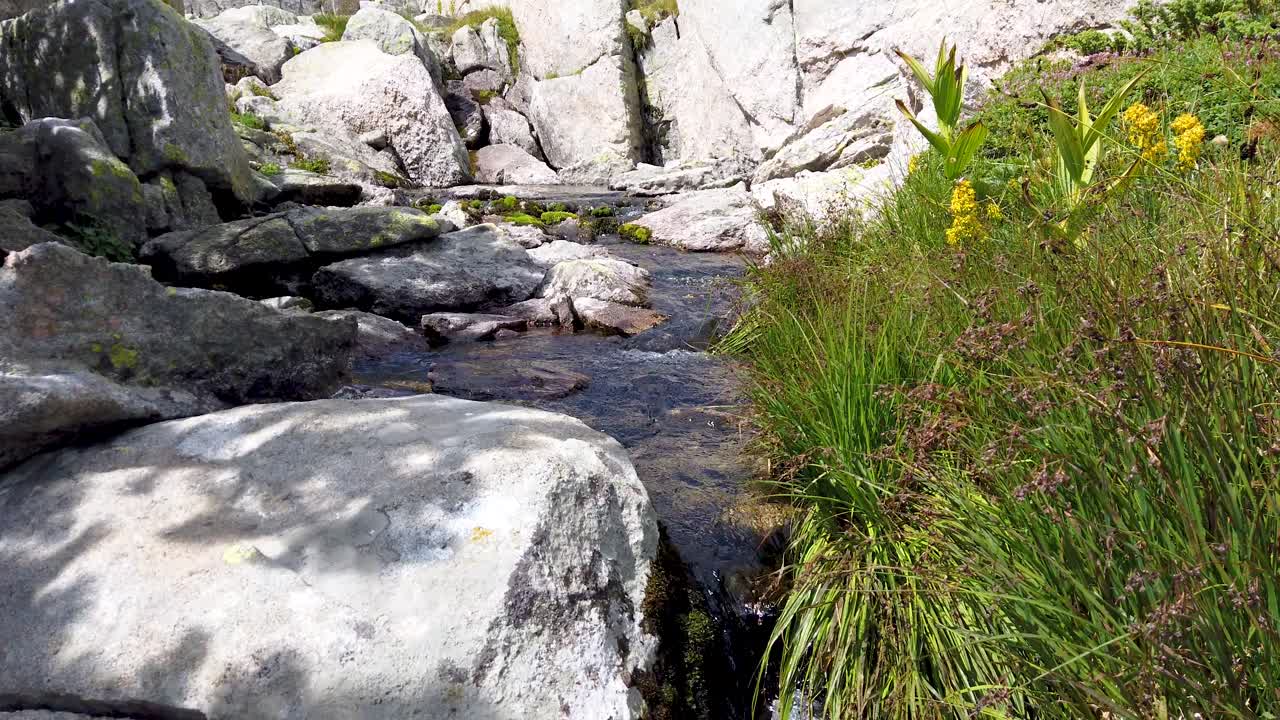 Mountain stream running over rocks. Landscape with green vegetation, slopes and peaks in sunny day. Slow motion. Tilt down.
