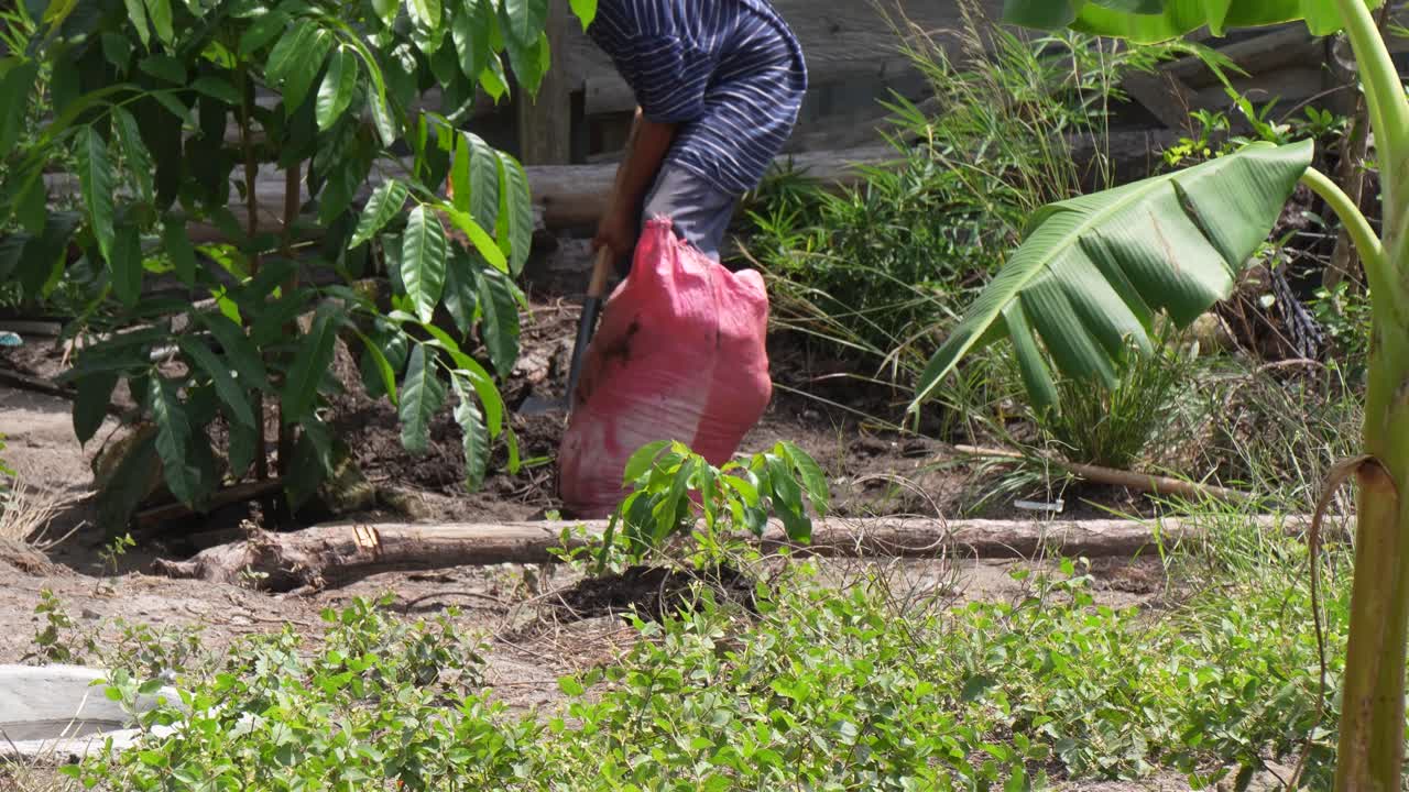 Seorang petani pria bekerja di perkebunannya di sebuah pertanian di daerah miskin