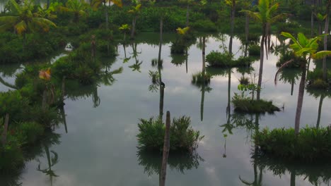 Vista-De-Remanso-Kuttanad-Kerala,-Alleppey-Alappuzha,-Hermosas-Regiones-Remansas-De-Kerala,-India