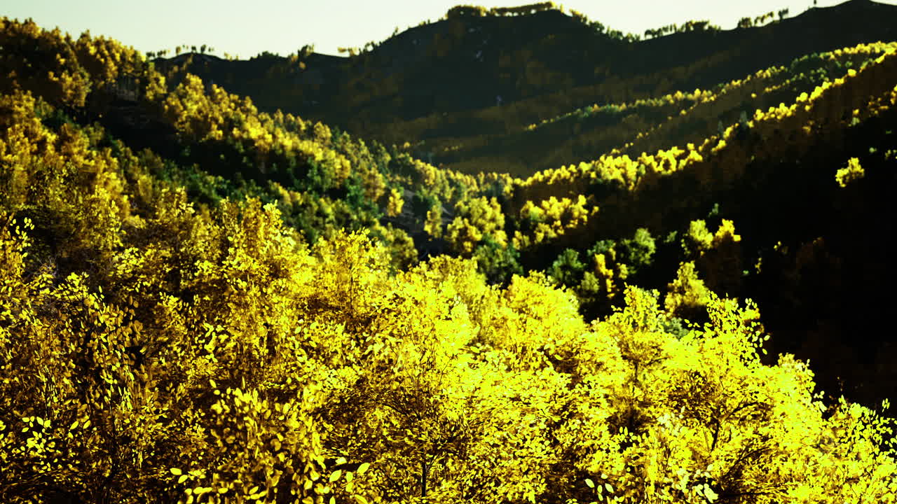 Vibrant autumn foliage colors hills in a mountainous landscape setting