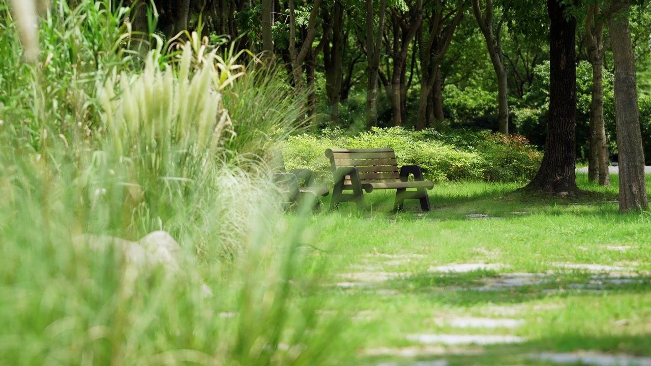 Pemandangan Taman Musim Panas yang Tenang dengan Bangku Kosong, Rumput Pampas, dan Pohon Peneduh (4K)