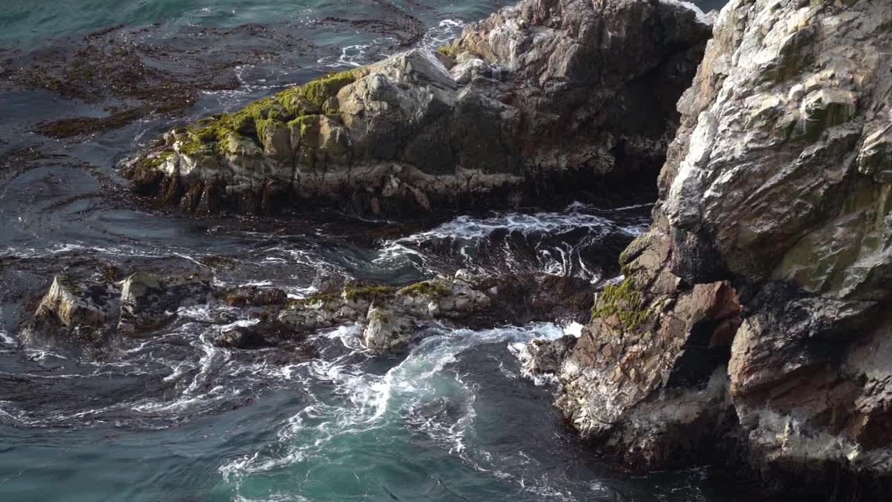 Primo piano di acqua piena di alghe contro la costa rocciosa in Perù, slow motion HD.