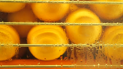 orange fruits preserved in a cold in a juice maker machine