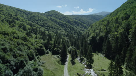 Vista-Aérea-De-Un-Valle-Montañoso-Atravesado-Por-Un-Río-Y-Un-Camino-Rural,-Rodeado-De-Verdes-Bosques-De-Abetos-Bajo-Un-Cielo-Azul