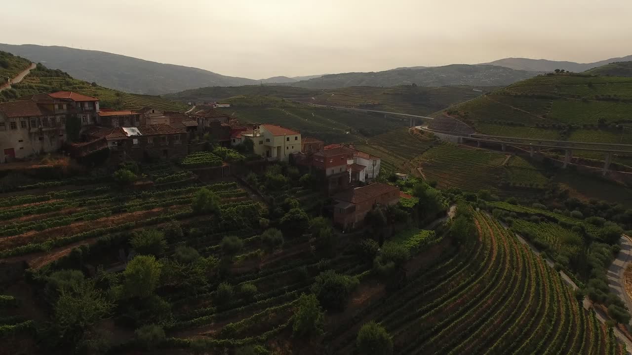 Vista aerea di case tra famosi vigneti di montagna.