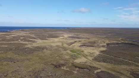 Aerial View of Coastal Landscape