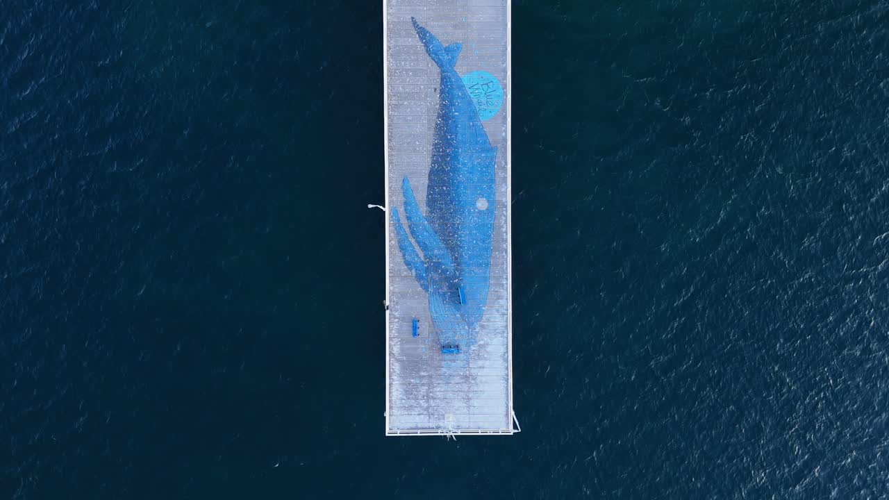 Top down aerial of Busselton Jetty whale painting on the end of the pier