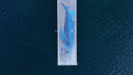 top down aerial of busselton jetty whale painting on the end of the pier