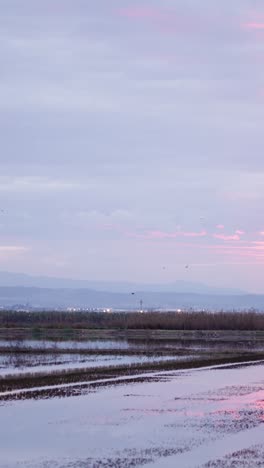 sunset over flooded fields