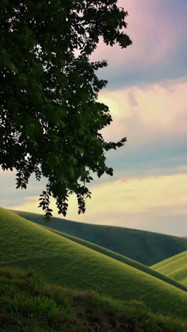 rolling green hills under a cloudy sky with a tree branch