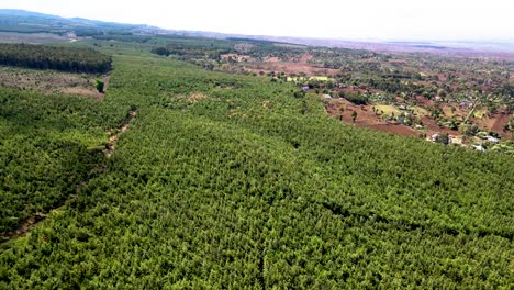 drone view- africa forest- africa bush fire
