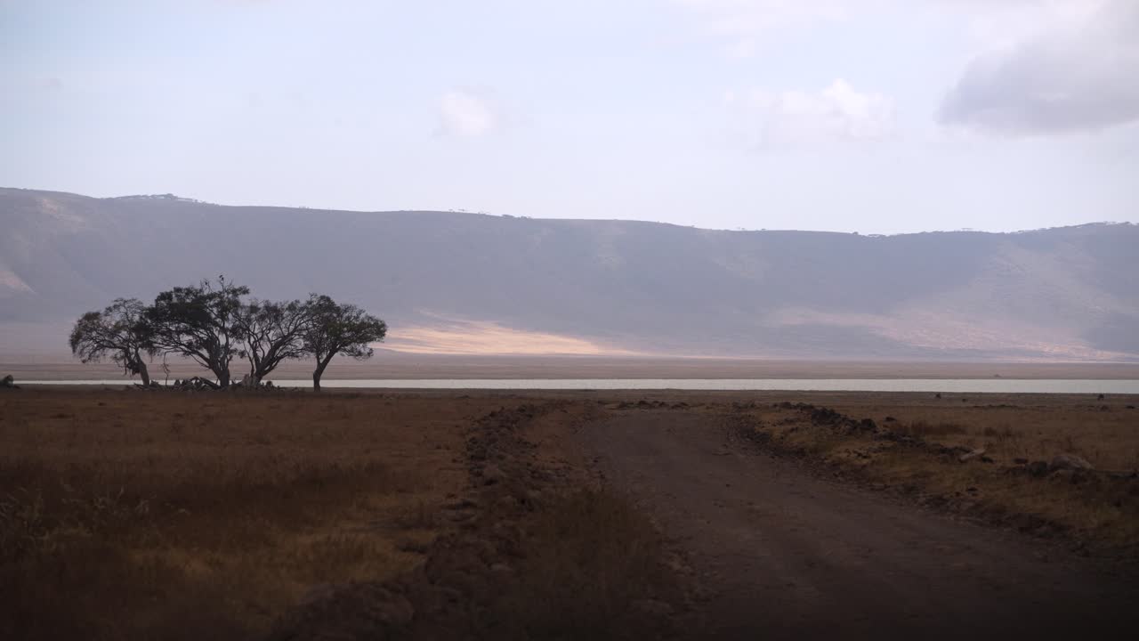 estrada de terra solitária com árvore à esquerda no lago da cratera ngorongoro na tanzânia áfrica, tiro de grande angular portátil