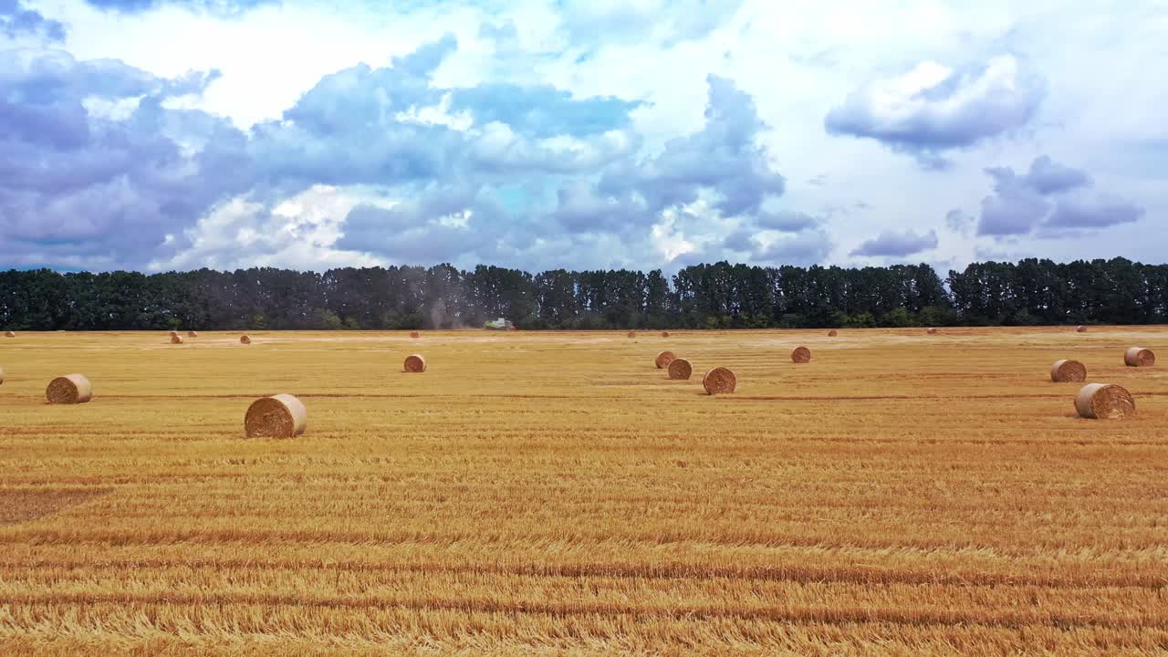 Flight over the golden field with pressed bales outdoors. Agricultural background of the field and round bales laying on the ground. Motion camera forward.