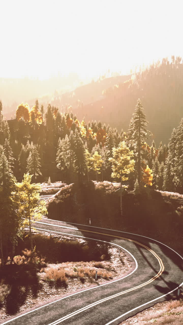 un camino sinuoso a través de un bosque en otoño
