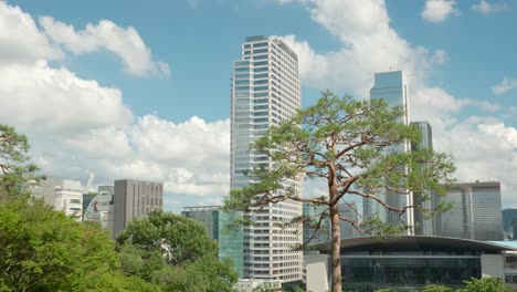 beautiful white clouds passing over coex world trade center seoul with tall pine tree in foreground