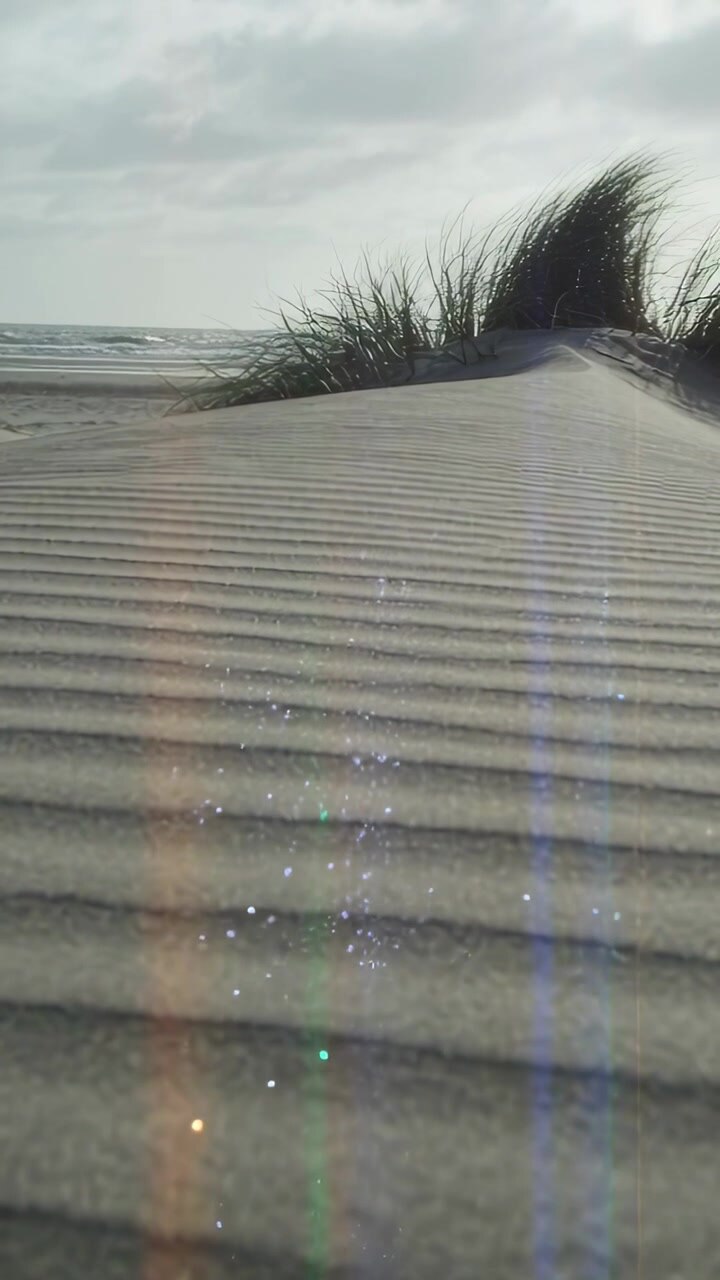 Video verticale: telecamera in panoramica che avanza per enfatizzare la sabbia increspata e l'erba delle dune